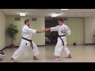 amateur karateka