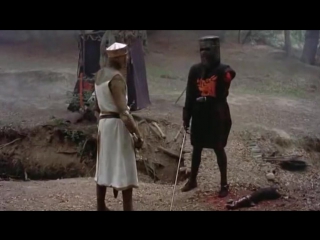 stubborn black knight.